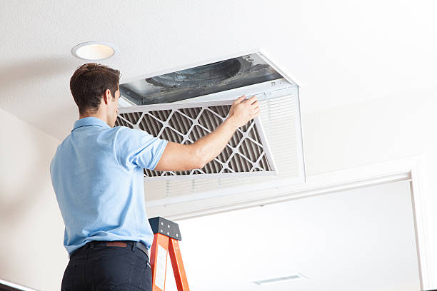 Best Heating Repair Services  in Luray, VA